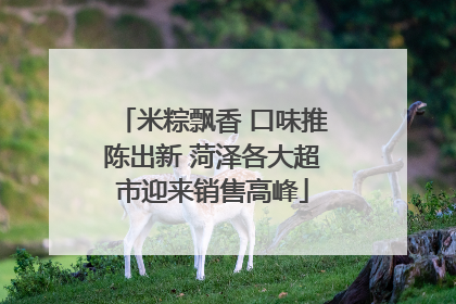 米粽飘香 口味推陈出新 菏泽各大超市迎来销售高峰