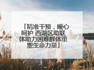 精准干预，暖心呵护 西湖区助联体助力困难群体重塑生命力量