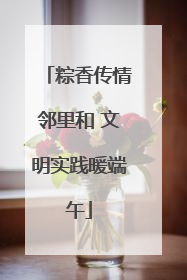 粽香传情邻里和 文明实践暖端午