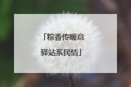 粽香传暖意 驿站系民情