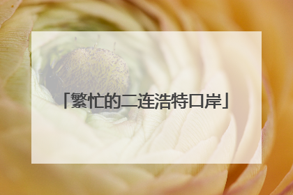 繁忙的二连浩特口岸