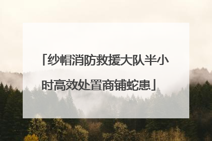 纱帽消防救援大队半小时高效处置商铺蛇患