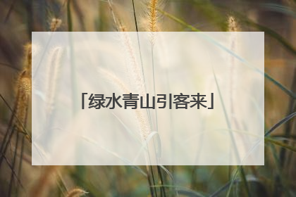 绿水青山引客来