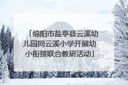 绵阳市盐亭县云溪幼儿园同云溪小学开展幼小衔接联合教研活动