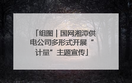 组图｜国网湘潭供电公司多形式开展“计量”主题宣传