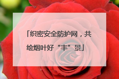 织密安全防护网，共绘烟叶好“丰”景