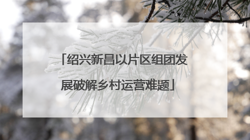 绍兴新昌以片区组团发展破解乡村运营难题