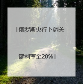 俄罗斯央行下调关键利率至20%