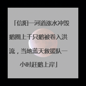 信阳一河道涨水冲毁鹅圈上千只鹅被卷入洪流，当地蓝天救援队一小时赶鹅上岸