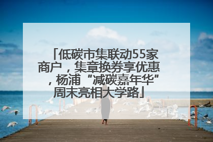 低碳市集联动55家商户，集章换券享优惠，杨浦“减碳嘉年华”周末亮相大学路