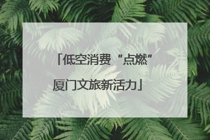 低空消费“点燃”厦门文旅新活力