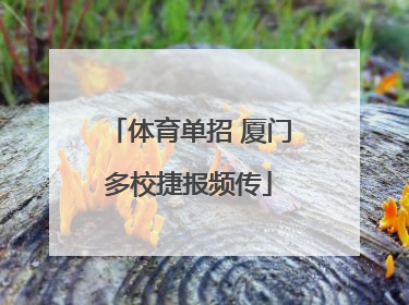 体育单招 厦门多校捷报频传