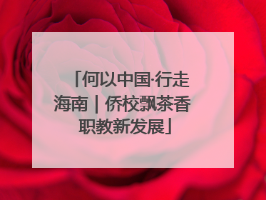 何以中国·行走海南｜侨校飘茶香 职教新发展
