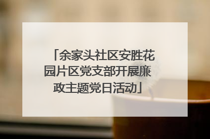 余家头社区安胜花园片区党支部开展廉政主题党日活动