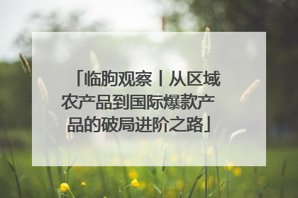 临朐观察丨从区域农产品到国际爆款产品的破局进阶之路