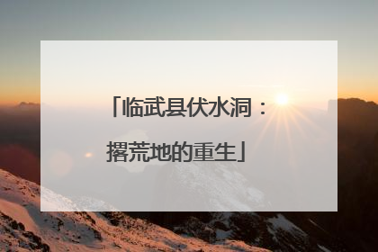 临武县伏水洞：撂荒地的重生