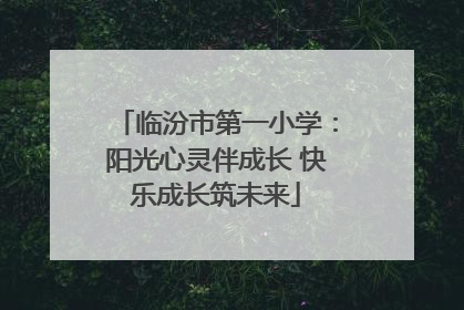 临汾市第一小学：阳光心灵伴成长 快乐成长筑未来