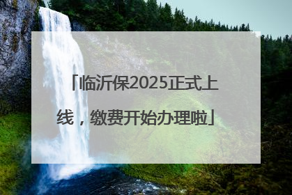 临沂保2025正式上线，缴费开始办理啦