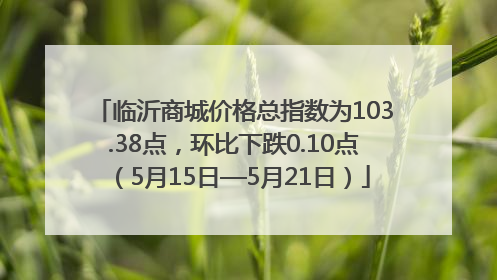 临沂商城价格总指数为103.38点，环比下跌0.10点（5月15日—5月21日）