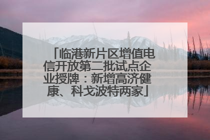 临港新片区增值电信开放第二批试点企业授牌：新增高济健康、科戈波特两家