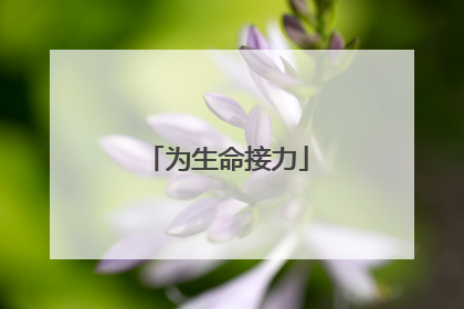 为生命接力