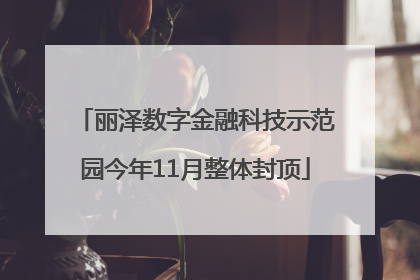 丽泽数字金融科技示范园今年11月整体封顶