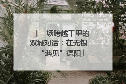 一场跨越千里的双城对话：在无锡“遇见”德阳