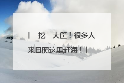 一挖一大筐！很多人来日照这里赶海！