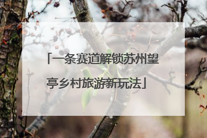 一条赛道解锁苏州望亭乡村旅游新玩法