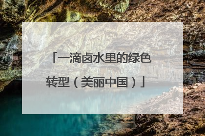一滴卤水里的绿色转型（美丽中国）