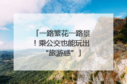 一路繁花一路景！乘公交也能玩出“旅游感”