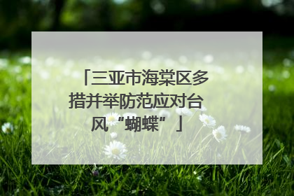 三亚市海棠区多措并举防范应对台风“蝴蝶”