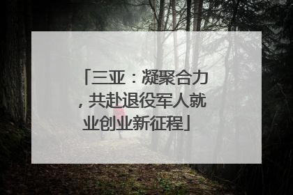 三亚：凝聚合力，共赴退役军人就业创业新征程