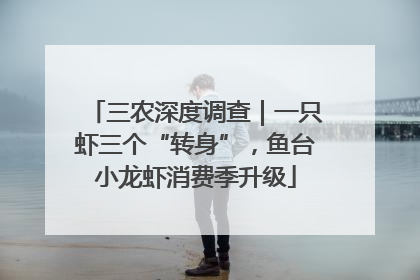 三农深度调查｜一只虾三个“转身”，鱼台小龙虾消费季升级