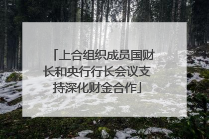 上合组织成员国财长和央行行长会议支持深化财金合作