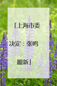 上海市委决定：张鸣履新