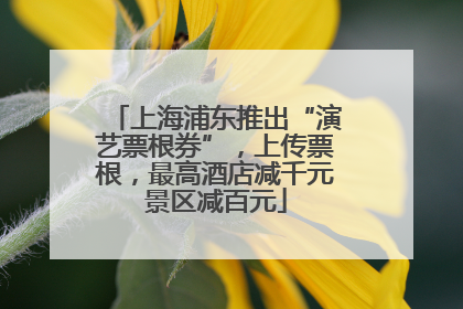 上海浦东推出“演艺票根券”，上传票根，最高酒店减千元景区减百元