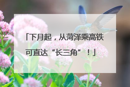 下月起，从菏泽乘高铁可直达“长三角”！