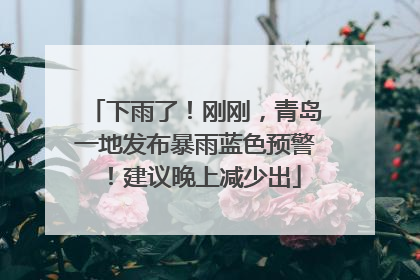 下雨了！刚刚，青岛一地发布暴雨蓝色预警！建议晚上减少出