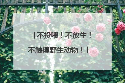 不投喂！不放生！不触摸野生动物！