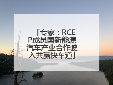 专家：RCEP成员国新能源汽车产业合作驶入共赢快车道