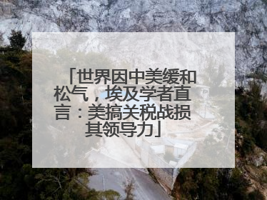 世界因中美缓和松气，埃及学者直言：美搞关税战损其领导力