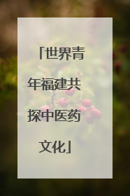 世界青年福建共探中医药文化