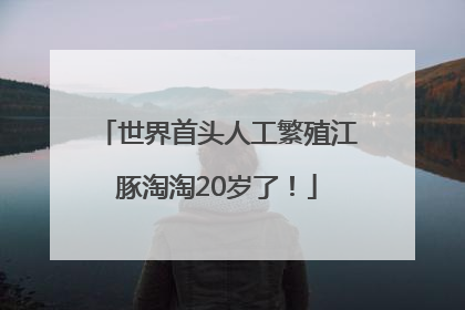 世界首头人工繁殖江豚淘淘20岁了！
