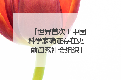 世界首次！中国科学家确证存在史前母系社会组织