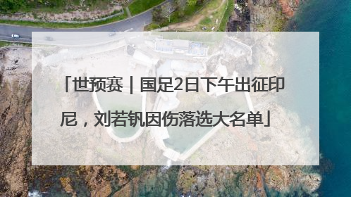 世预赛｜国足2日下午出征印尼，刘若钒因伤落选大名单