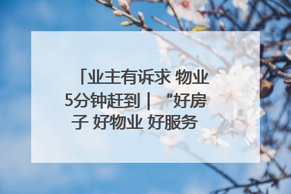 业主有诉求 物业5分钟赶到｜“好房子 好物业 好服务”系列报道④