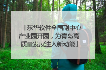 东华软件全国副中心产业园开园，为青岛高质量发展注入新动能