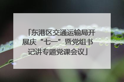 东港区交通运输局开展庆“七一”暨党组书记讲专题党课会议