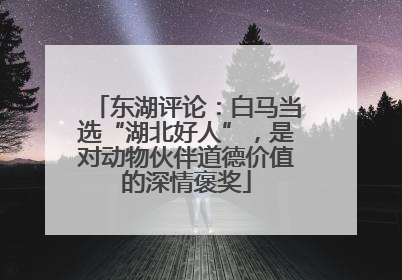 东湖评论：白马当选“湖北好人”，是对动物伙伴道德价值的深情褒奖